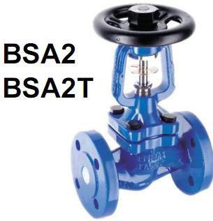 ˹ɯBSA2Tֹy